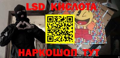 спайс Берёзовский