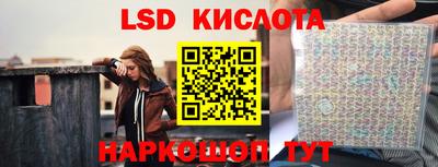 спайс Берёзовский