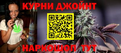 гашик Бийск