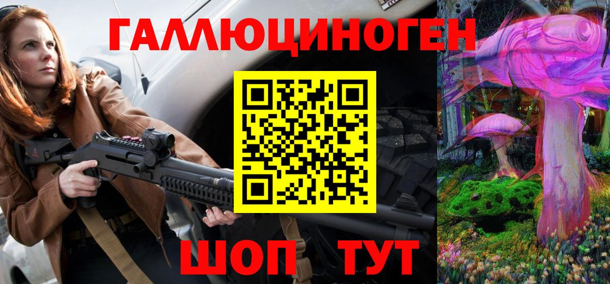 Городец  Галлюциногенные грибы прущие грибы  Вход с VPN 