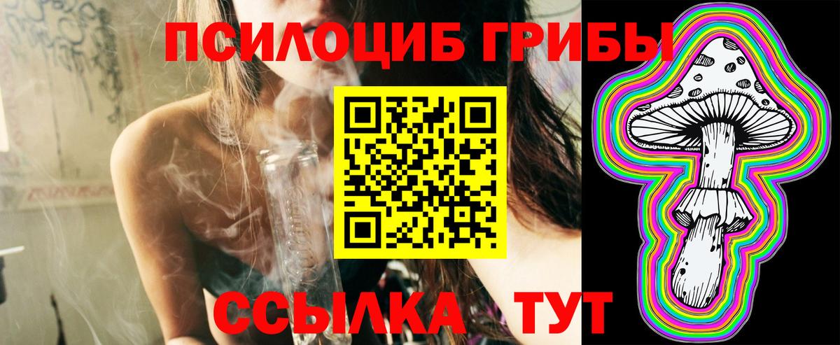 Псилоцибиновые грибы мицелий Городец